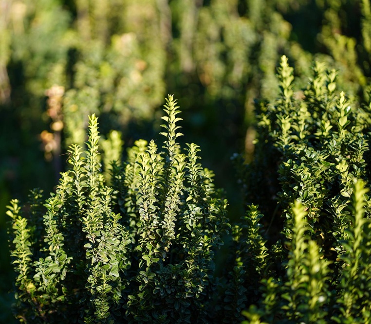 NdHulQ4pGsaEnc1ZZVs3dzji_We7jMLP8tFBAMKcLYFQGRAVuQS0A3KqQ7YQsiH8fKyDmCw587Wu3HxMUGswKMo2O74dF1Q74QfHjDPQLN4